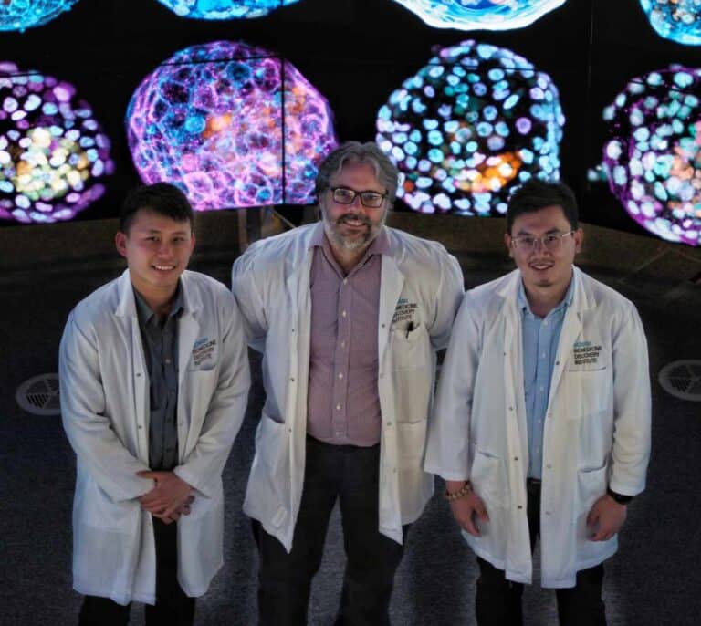 Científicos crean un modelo de embrión humano a partir de células de la piel