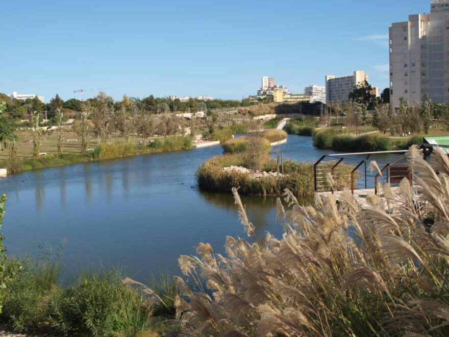 Imagen del parque de La Marjal, en Alicante, capaz de recoger 45 millones de litros de aguas pluviales. SUEZ