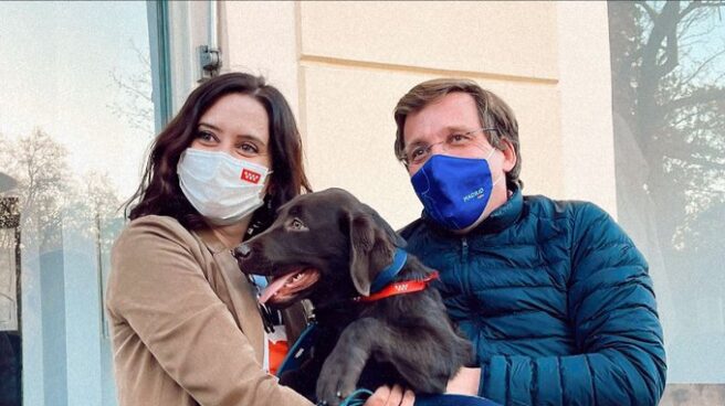 Almeida y Díaz Ayuso posan con Bolbo, el perro de la presidenta de la Comunidad de Madrid.