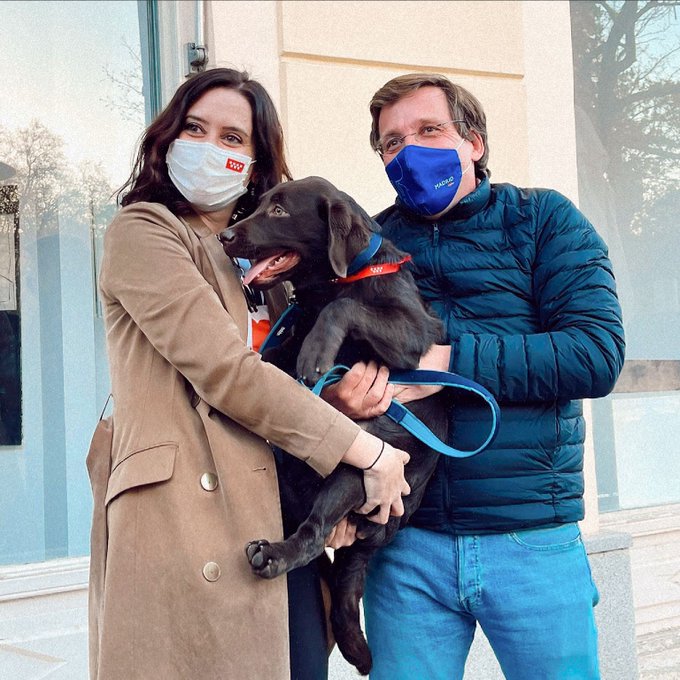 Almeida y Díaz Ayuso posan con Bolbo, el perro de la presidenta de la Comunidad de Madrid.