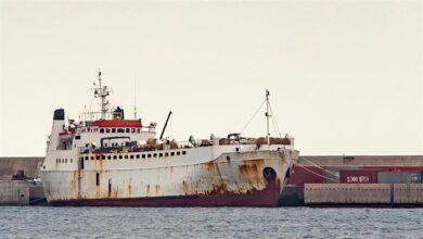 La Justicia autoriza sacrificar 880 vacas tras dos meses en un limbo jurídico en el Mediterráneo