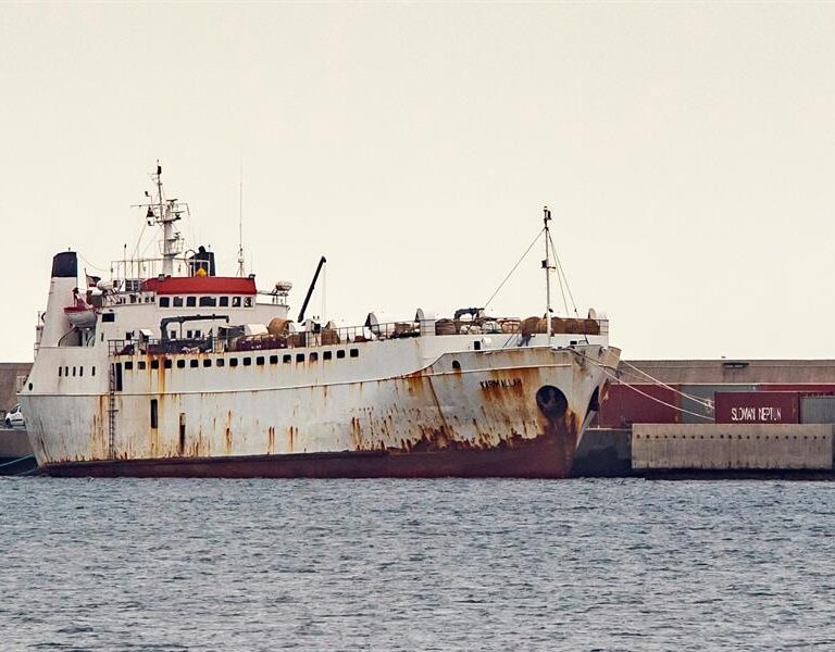 La Justicia autoriza sacrificar 880 vacas tras dos meses en un limbo jurídico en el Mediterráneo