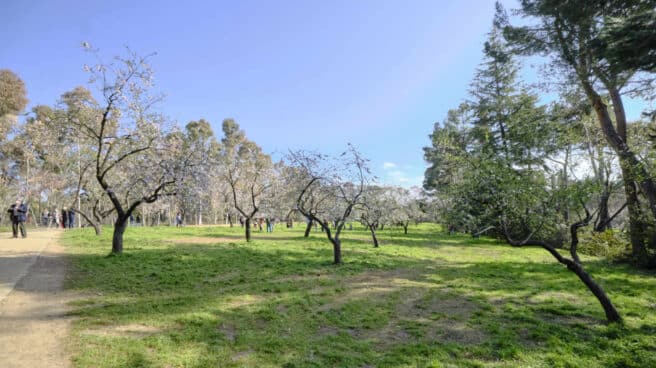 El parque de la Quinta de los Molinos de Madrid.