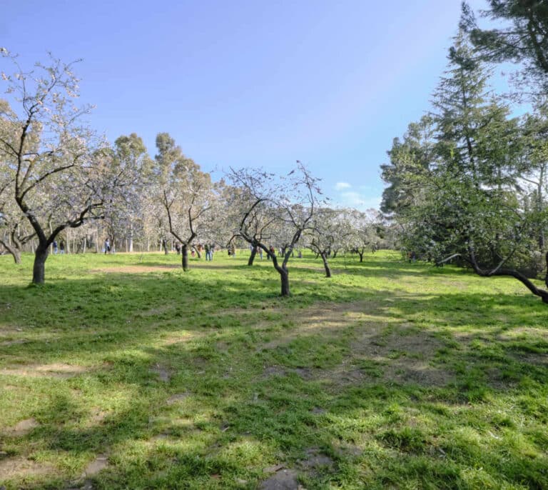 Así será la primavera meteorológica en España