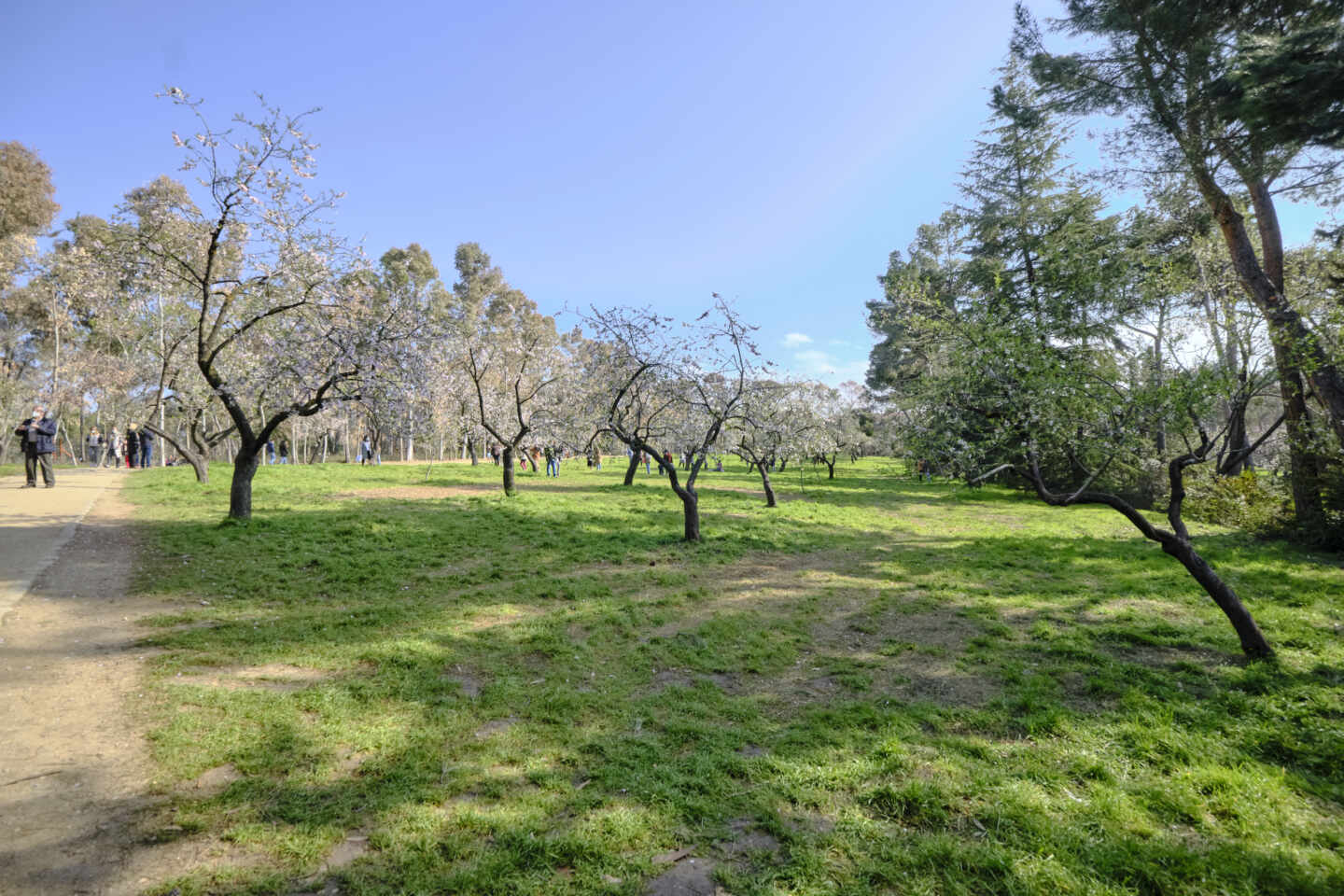 El parque de la Quinta de los Molinos de Madrid.