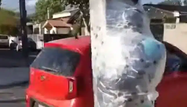 VÍDEO | La peculiar detención de un hombre inmovilizado con papel film al robar un coche