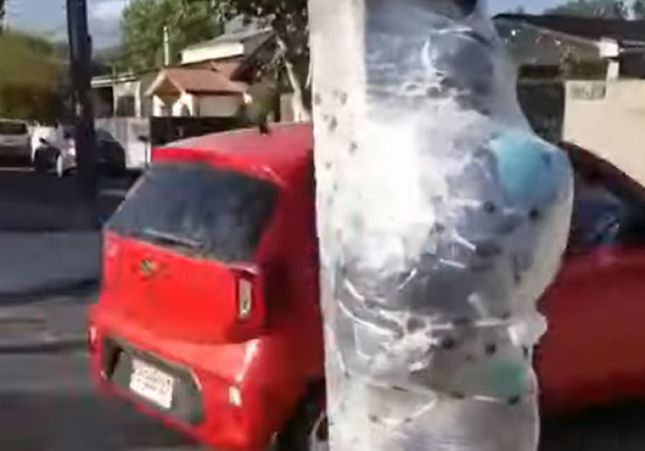 VÍDEO | La peculiar detención de un hombre inmovilizado con papel film al robar un coche