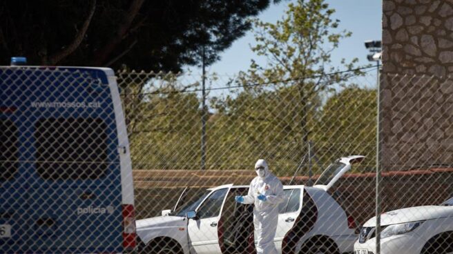 Mossos cadaver Roses
