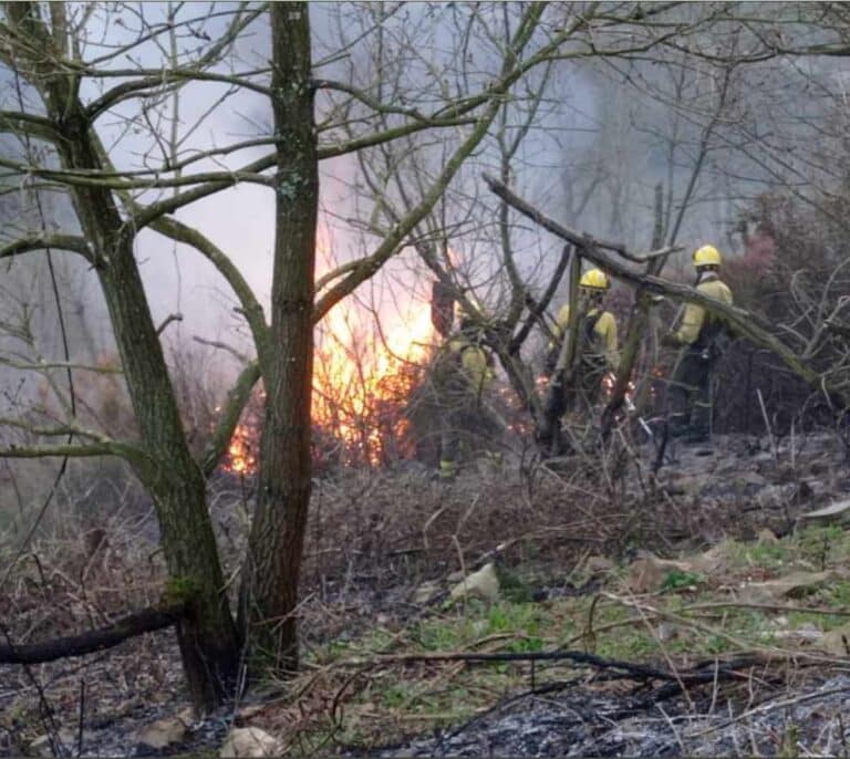 Asturias, en situación de emergencia por la proliferación de incendios forestales