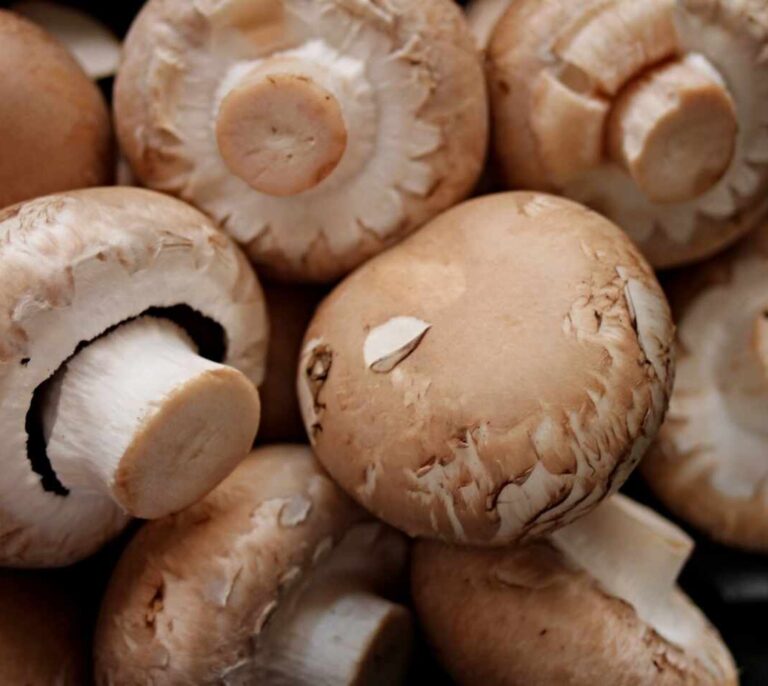 Según los expertos estos son los beneficios de comer champiñones en los hombres
