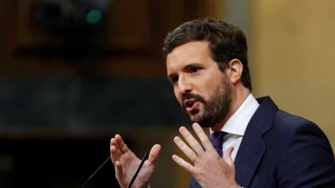 El líder del PP, Pablo Casado. El líder del PP, Pablo Casado.