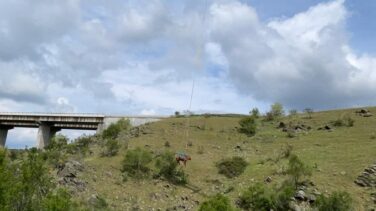 Así ha sido el rescate de una vaca que cayó a un terraplén de El Molar (Madrid)