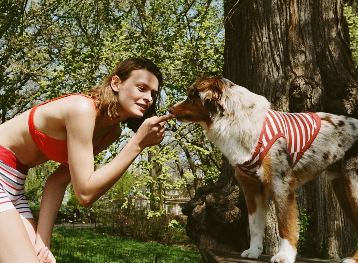 Imagen de la campaña publicitaria de Zaqra con la nueva colección para perros de Inditex