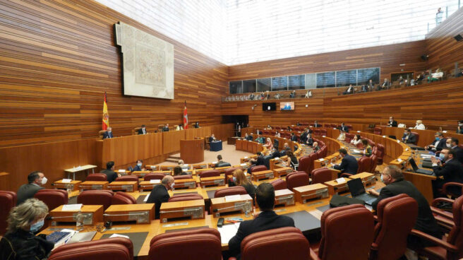 Pleno en las Cortes de Castilla y León