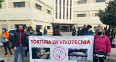 La Fiscalía investiga a Vivotecnia en Madrid por presunto maltrato animal