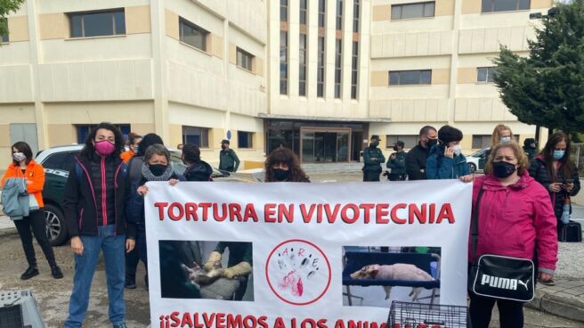 Imágenes de la protesta contra Vivotecnia