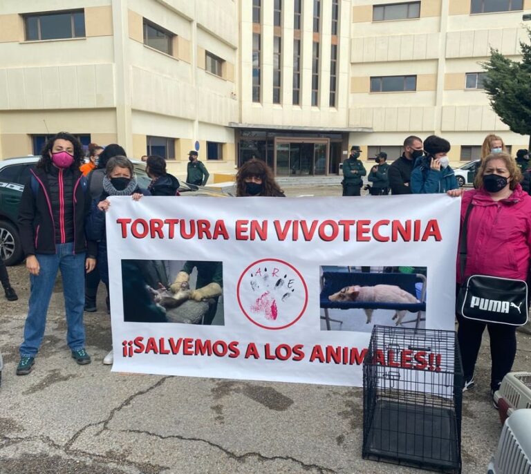 La Fiscalía investiga a Vivotecnia en Madrid por presunto maltrato animal