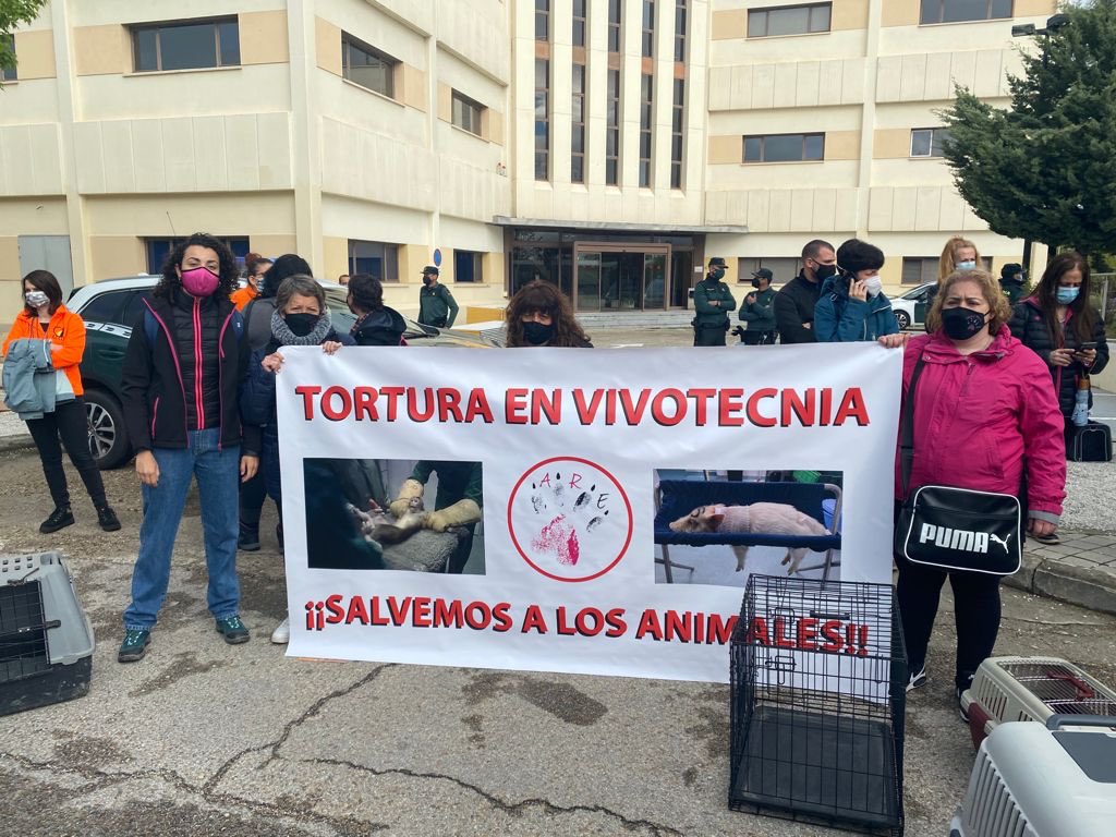 Imágenes de la protesta contra Vivotecnia