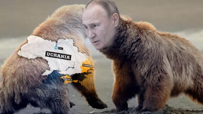 Imagen de un montaje de Putin en un oso pardo atacando otro oso que representa Ucrania