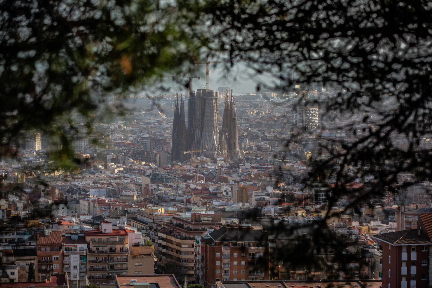 Imagen panorámica de Barcelona, en el centro se ve la Sagrada Familia.