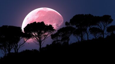 Así será la Superluna rosa más grande del año