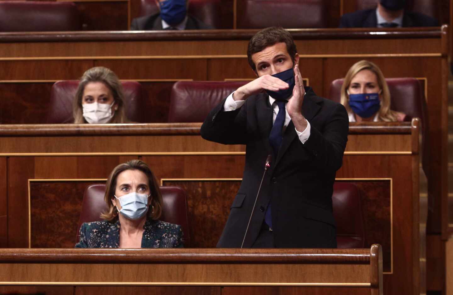 El líder de la oposición, Pablo Casado, en el Congreso.