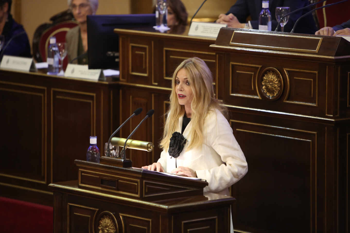 La presidenta del Observatorio de Violencia de Género del Consejo General del Poder Judicial (CGPJ), Ángeles Carmona, interviene en el Senado.