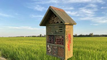 Kellogg, defensor de la biodiversidad en los campos de arroz del Delta del Ebro