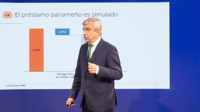 El jefe de la delegación de Ciudadanos en el Parlamento Europeo, Luis Garicano.