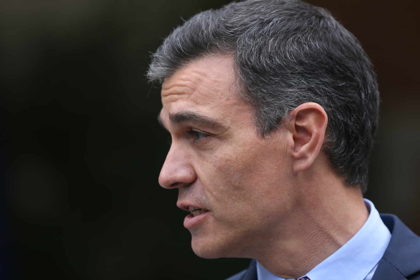 El presidente del Gobierno, Pedro Sánchez.