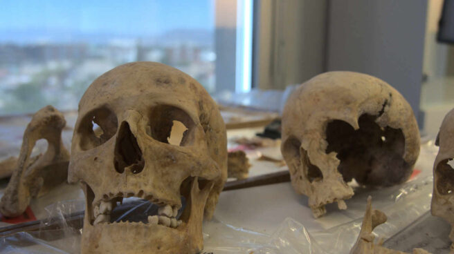 Científicos buscan el lugar de nacimiento de Colón en el ADN de sus huesos