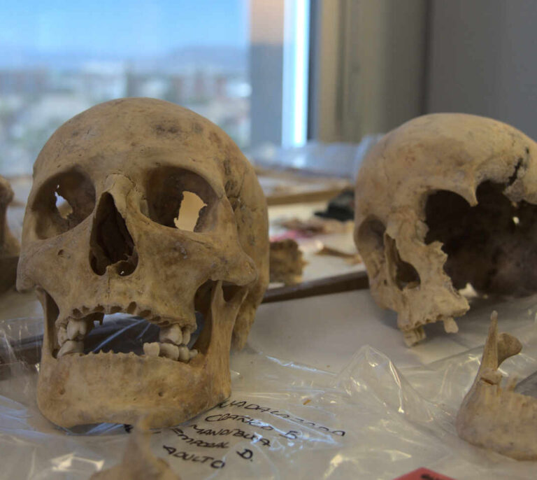 Científicos buscan el lugar de nacimiento de Colón en el ADN de sus huesos