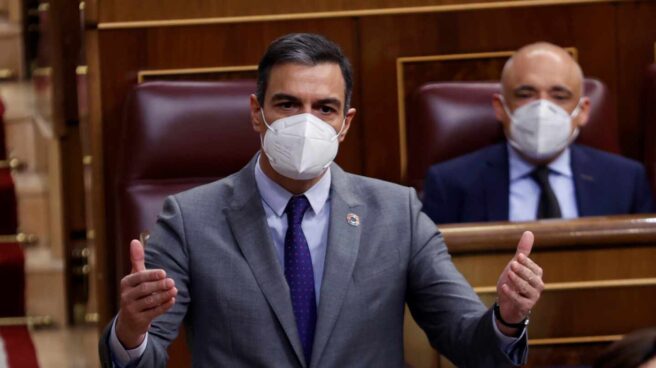 Pedro Sánchez, en el Congreso.