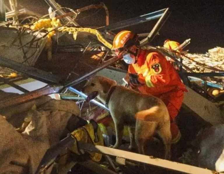Seis muertos y más de 200 heridos tras el paso de un tornado en la provincia china de Hubei