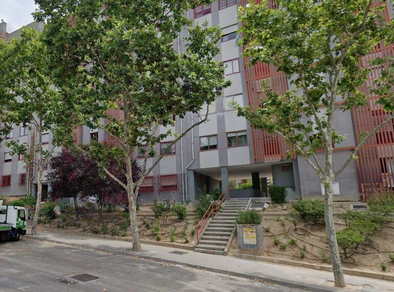 Hallan el cadáver descompuesto de una anciana comido por sus gatos en Madrid