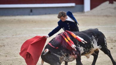 El Congreso insta a que vuelvan los toros a TVE a iniciativa del PP y gracias a la abstención del PSOE