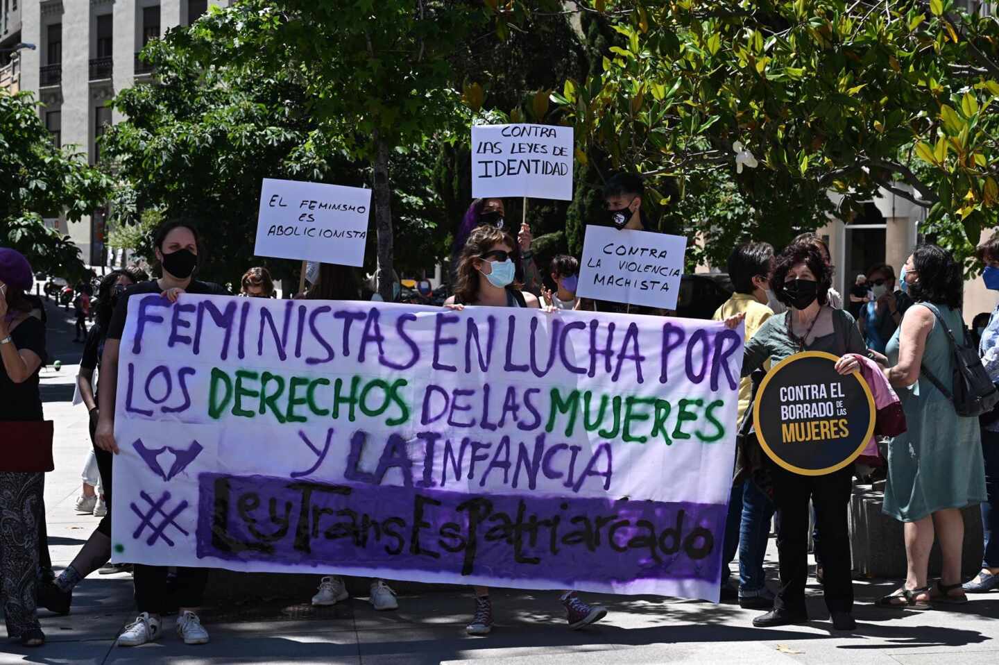 Un grupo de feministas protesta ante el Congreso de los Diputados contra la 'Ley Trans'.