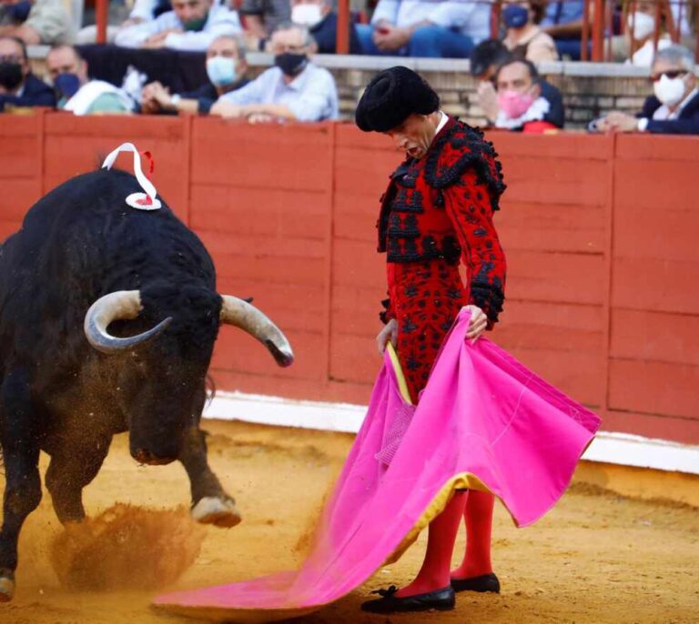 El Constitucional declara que la libertad de expresión no ampara llamar asesino a un torero fallecido