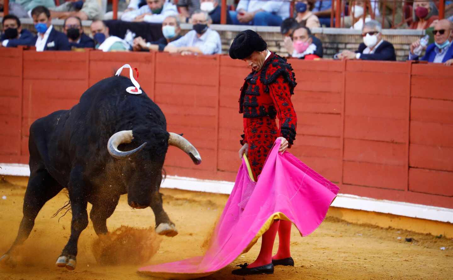 El torero Finito de Córdoba, con el capote en la corrida de la Feria de Córdoba celebrada este domingo.