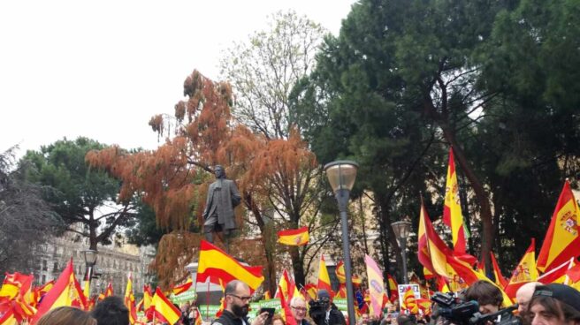 Asistentes a la manifestación de la plaza de Colón de febrero de 2019.