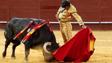 Los toros triunfan en televisión en pleno debate sobre su regreso a TVE