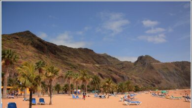 Qué debes hacer para entrar en Canarias si ya te han vacunado