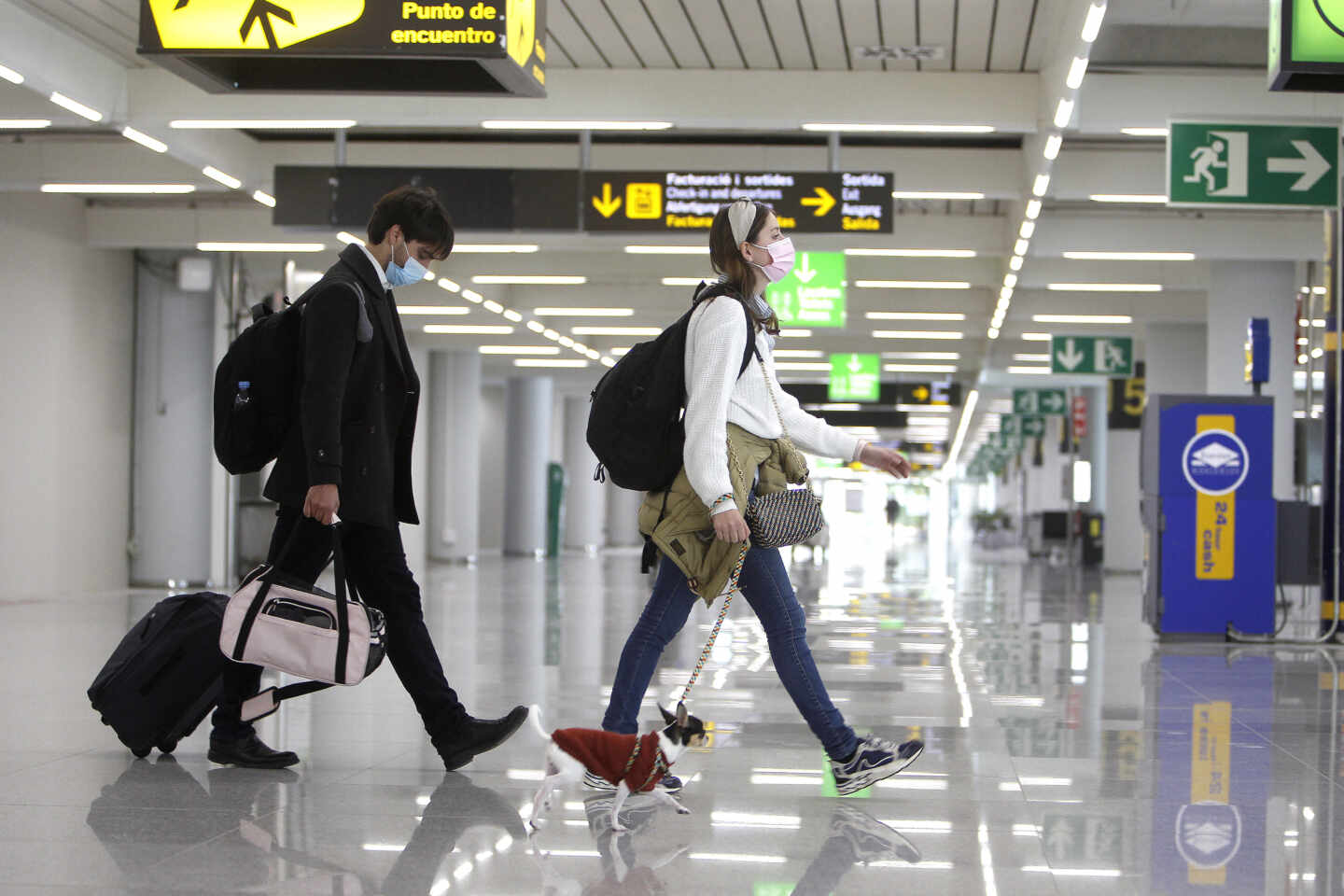 Dos turistas en el aeropuerto de Palma (Baleares) con un perrito.