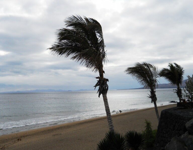 'Reventón seco' en Alicante: lluvia evaporada antes de caer y fuerte viento