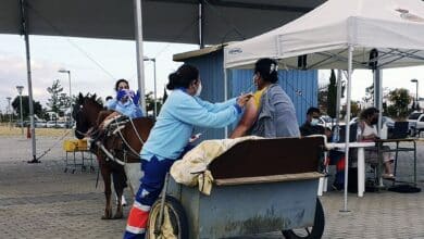 Una mujer de Lepe se vacuna contra el Covid en un carro tirado por una mula