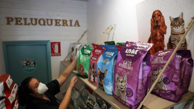 El 30% de las empresas no cuentan con el registro salarial obligatorio contra la brecha de género Una dependienta de una tienda de animales en Málaga.
