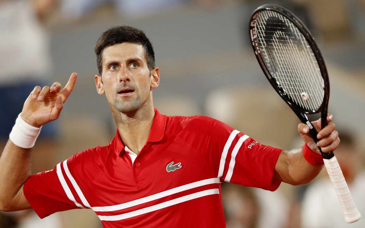 Djokovic celebra un punto en la semifinal de Roland Garros ante Rafael Nadal