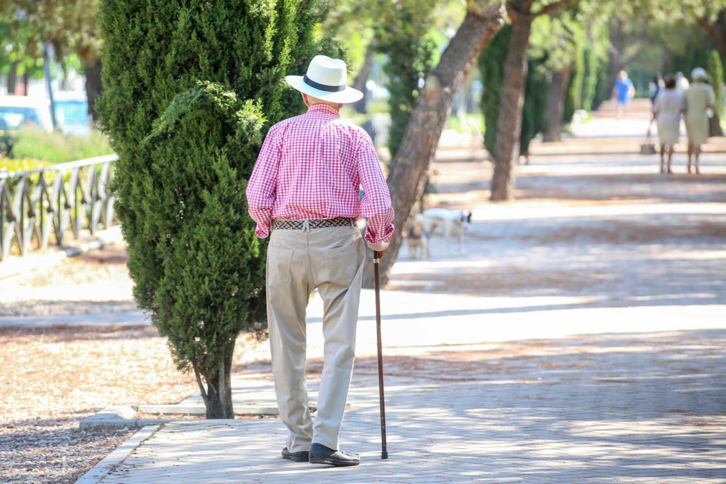 Imagen de un anciano caminando.