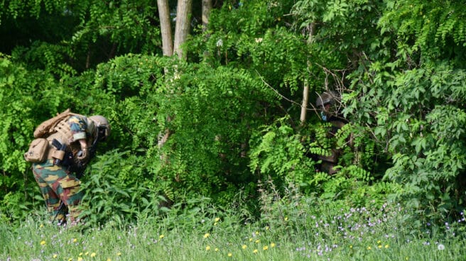 Ejército belga en el bosque