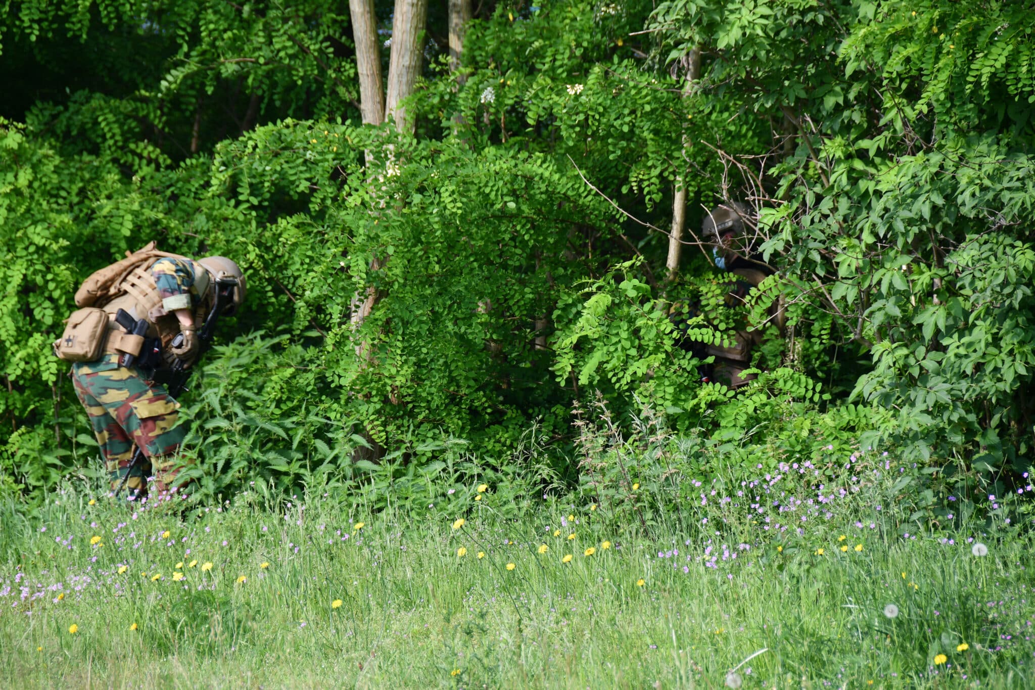 Ejército belga en el bosque